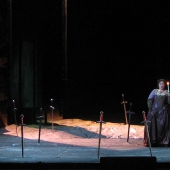 il trovatore, 2008